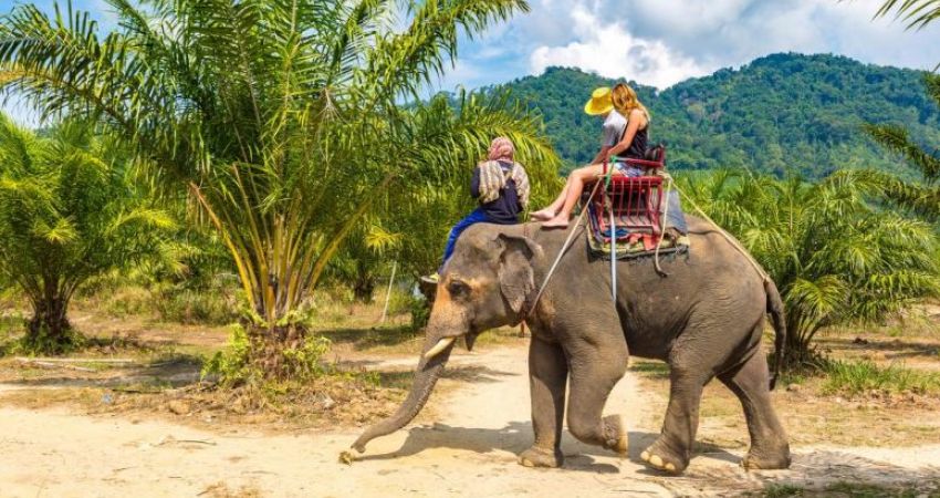 Phuket & Bangkok Turu - 6 gece