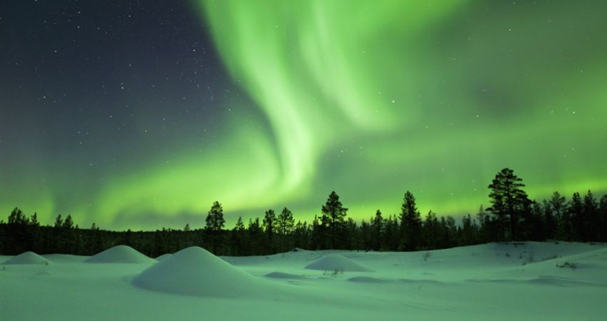 Lapland Kuzey Işıkları Turu - 4 Gece (Buzkıran Gemisi, Safariler Dahil)