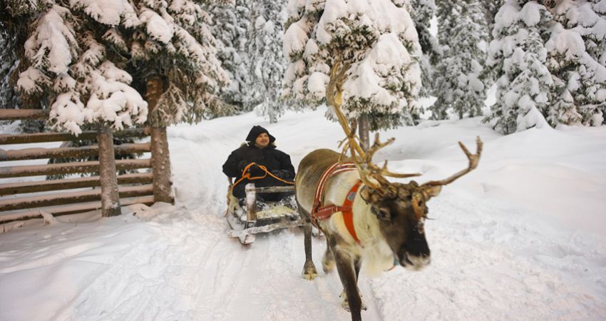 Lapland Kuzey Işıkları Turu - 4 Gece (Buzkıran Gemisi, Safariler Dahil)