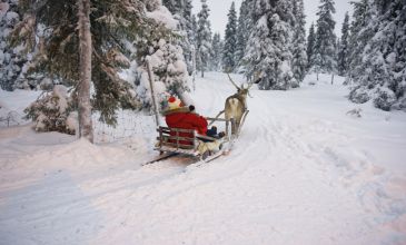 Lapland Kuzey Işıkları Turu - 4 Gece (Buzkıran Gemisi, Safariler Dahil)