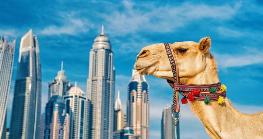 Antalya'dan Dubai & Abu Dhabi Turu - 3 Gece