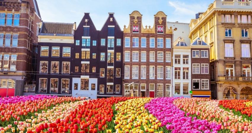 Ankara'dan Görkemli Amsterdam Turu - 3 Gece (Kasım Sömestr)