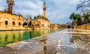 29 Ekim Özel Uçaklı Gap Turu - 3 Gece Paket 2