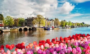 Ankara'dan Görkemli Amsterdam Turu - 4 Gece 15 Kasım