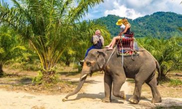 Bangkok & Pattaya & Phuket Turu - 7 Gece Yılbaşı