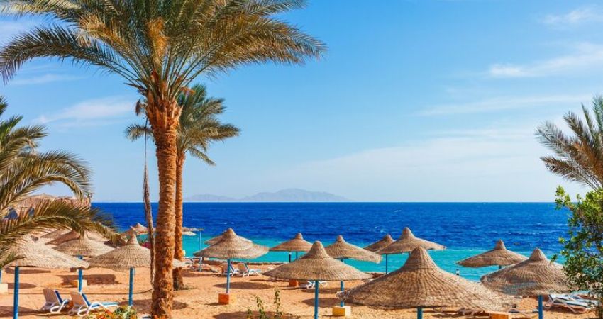 Kurban Bayramı Sharm El Sheikh Turu - 5 Gece