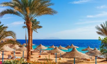 Sharm & Kahire & İskenderiye Turu (24-31 Ocak)