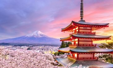 Japonya & Güney Kore & Çin Turu - 11 Gece